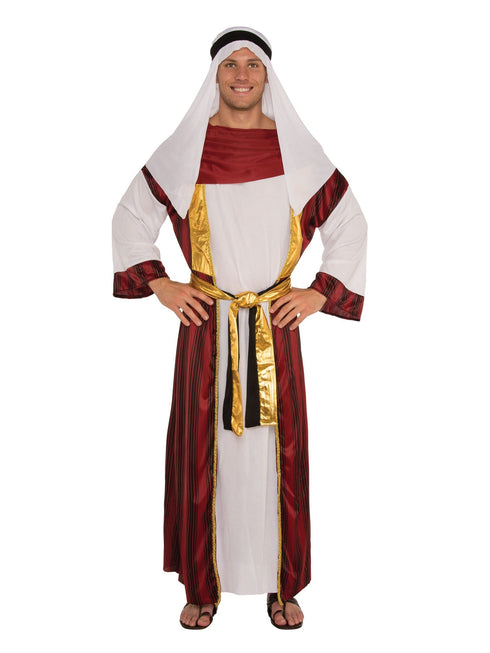 Desert Prince Costume